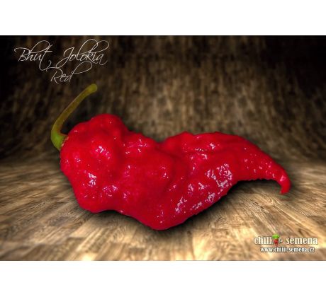 Bhut Jolokia Red