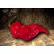 Bhut Jolokia Red