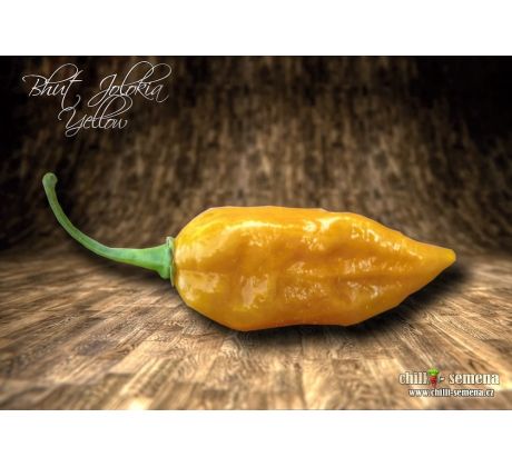 Bhut Jolokia Yellow