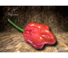 7 Pot Chaguanas