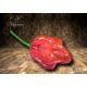 7 Pot Chaguanas