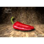 Jalapeno Chichimeca