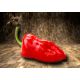 Pimiento de Padron