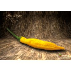 Aji Lemon Drop