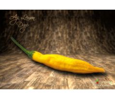 Aji Lemon Drop