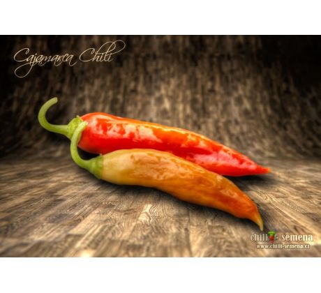 Cajamarca Chilli