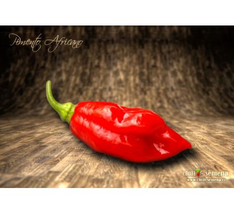 Pimento Africano