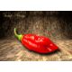 Pimento Africano