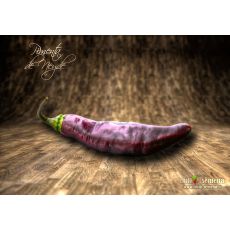 Pimenta de Neyde