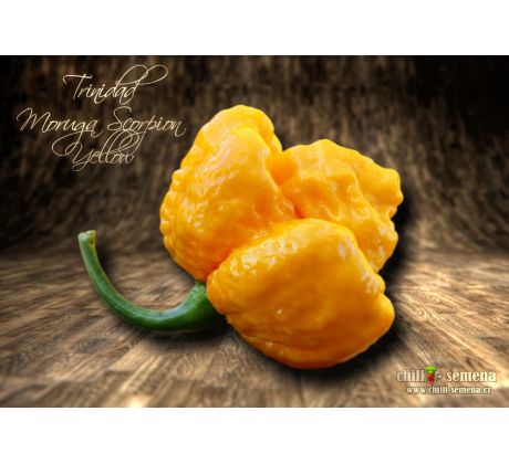 Trinidad Moruga Scorpion Yellow