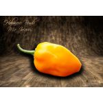 Habanero Bonda Ma Jacques