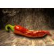 Kashmiri Mirch Chilli