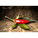 Orozco Chilli