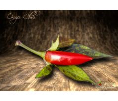 Orozco Chilli