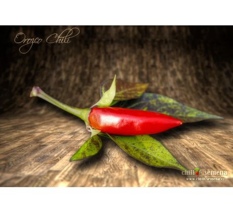 Orozco Chilli