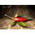 Orozco Chilli
