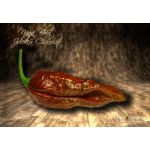Naga Bhut Jolokia Chocolate