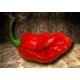 King Naga