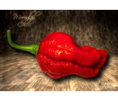 Moruglah Chilli