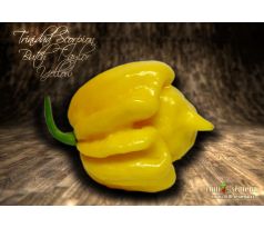 Trinidad Scorpion Butch Taylor Yellow