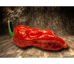 Naga Bhut Jolokia (Ghost Chilli)