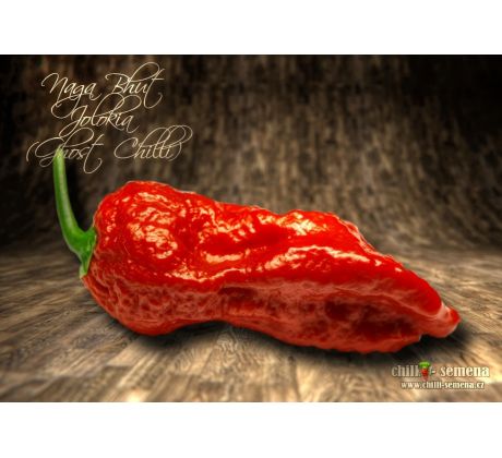 Naga Bhut Jolokia (Ghost Chilli)