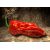 Naga Bhut Jolokia (Ghost Chilli)