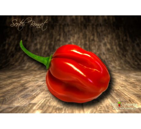 Scotch Bonnet