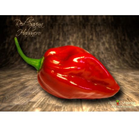 Red Savina Habanero