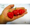 Scotch Bonnet